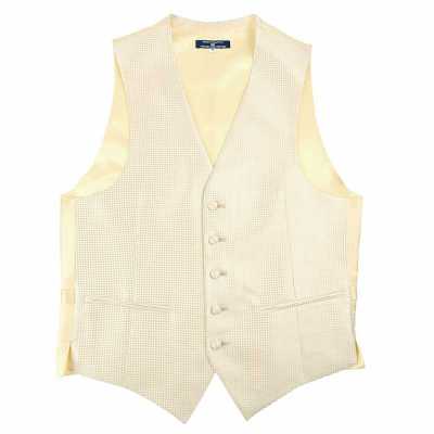 VANNERS-V-011 VANNERS Colete Social Pata de Galo Dourado Champagne