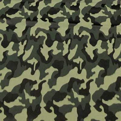 PTS-2 Pentagono(Pentagono (Padrão camuflado de tecido de seda [Outlet]