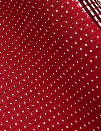 SH-388 Têxtil De Seda Jacquard De Fujiyoshida [outlet] Yamamoto(EXCY) subfoto