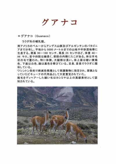 1676 Fukaki Woven Made In Japan Guanaco Blend Cashmere Textile[Têxtil] FUKAKI subfoto