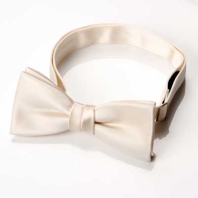BF-203 Gravata borboleta feita com tecido de face de seda premium, branco off-white