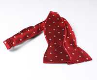 MT-600 Gravata Borboleta De Seda Doméstica Com Nó à Mão E Bolinhas Vermelhas[Acessórios Formais] Yamamoto(EXCY) subfoto
